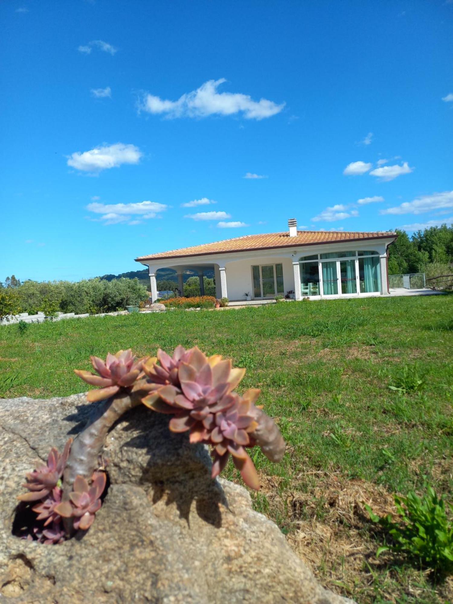 Agriturismo B&B Mares E Montes De Marrante Siniscola Exteriér fotografie