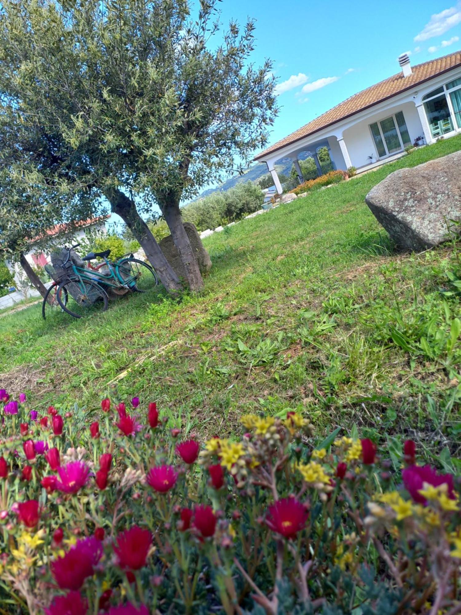 Agriturismo B&B Mares E Montes De Marrante Siniscola Exteriér fotografie